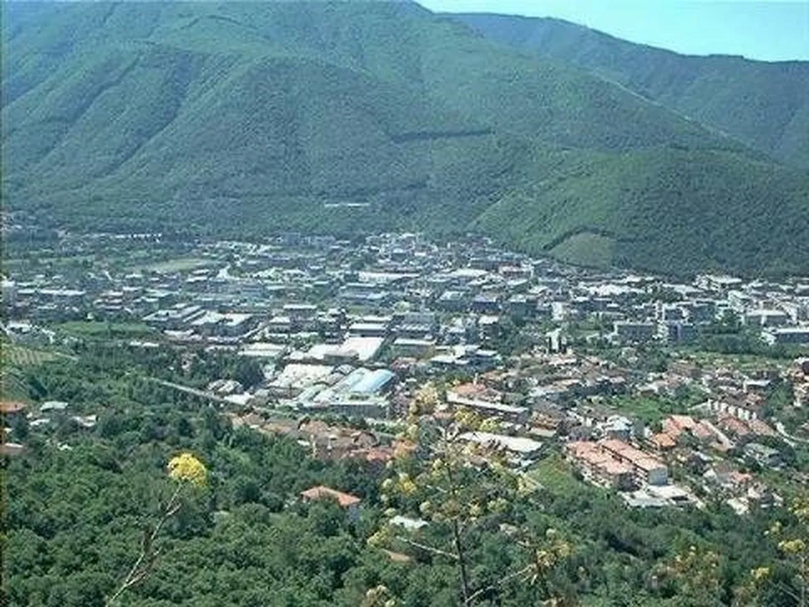canile arzignano