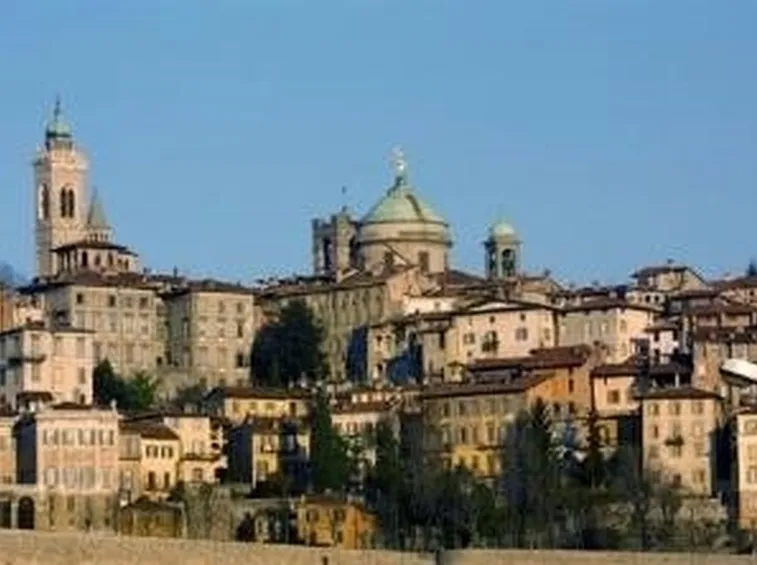 canile bergamo