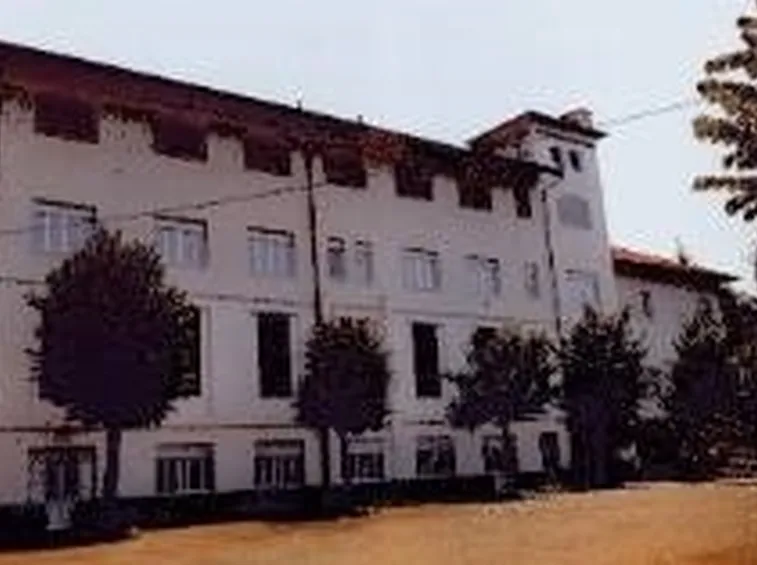 canile caluso
