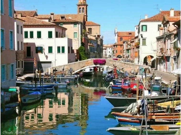 canile chioggia