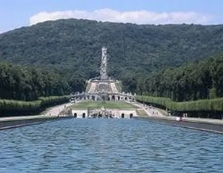 canile caserta