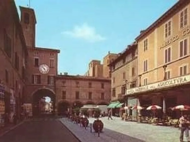canile imola