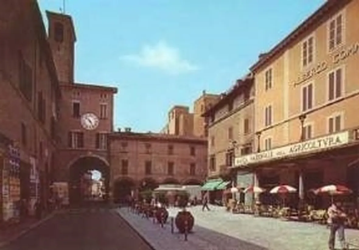 canile imola