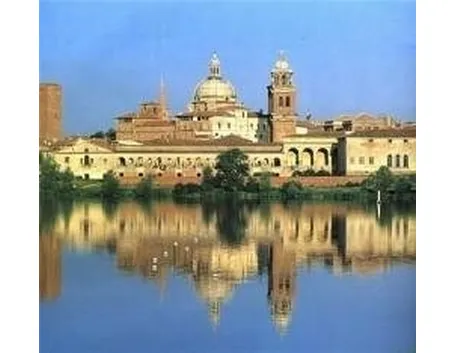 canile mantova