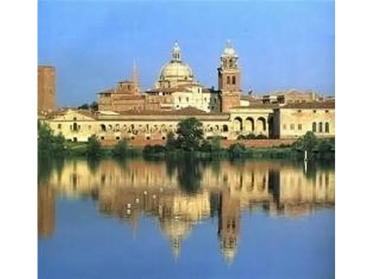 canile mantova