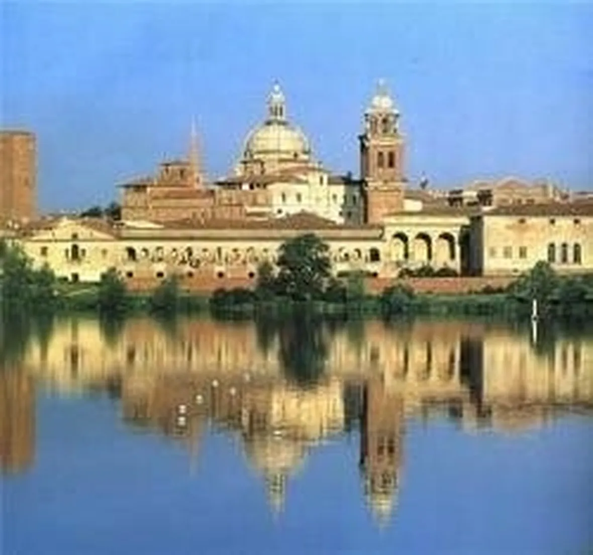 canile mantova