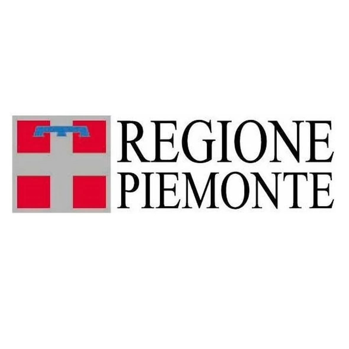 canile piemonte