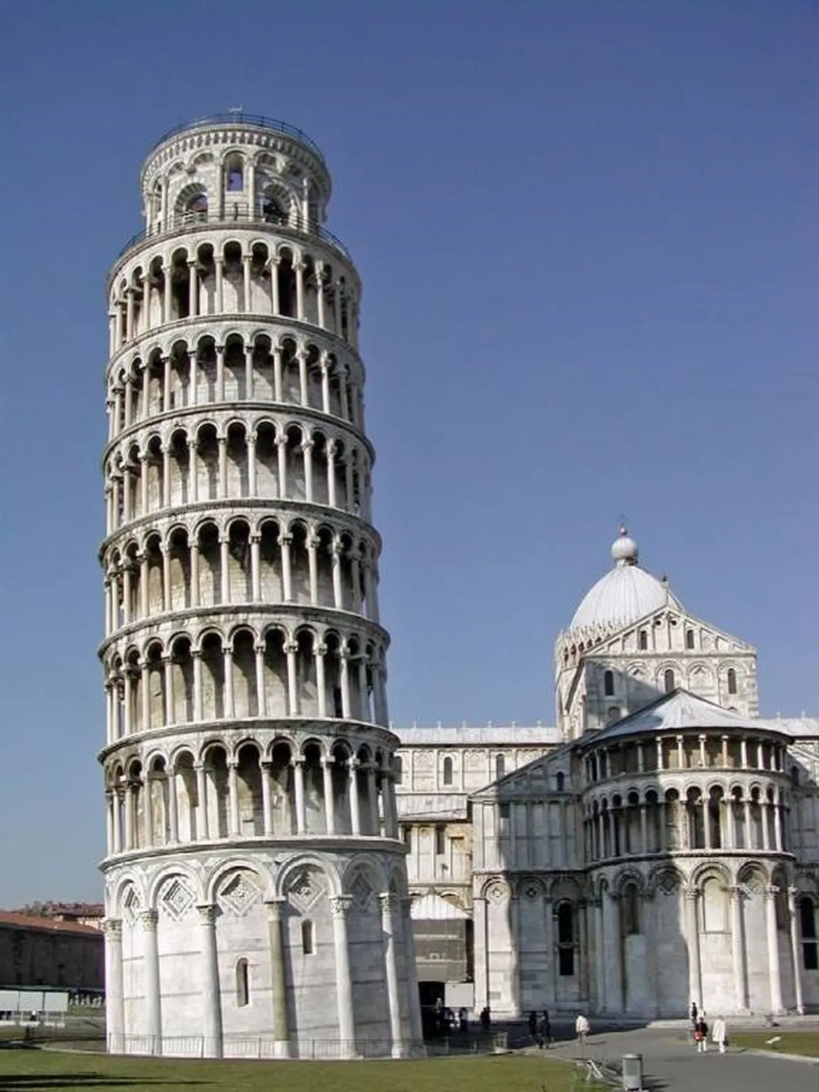 canile pisa