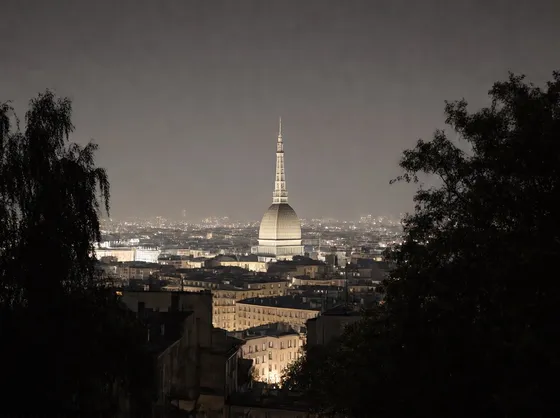 canile provincia torino