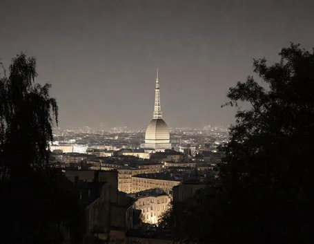 canile provincia torino