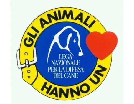 canile rubano