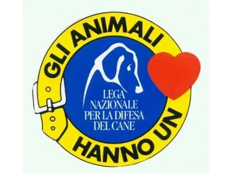 canile rubano
