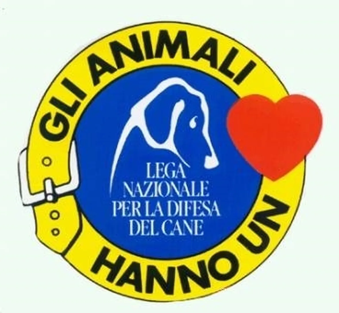 canile rubano