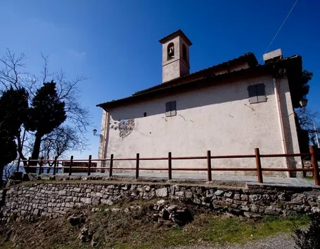 canile sesto fiorentino