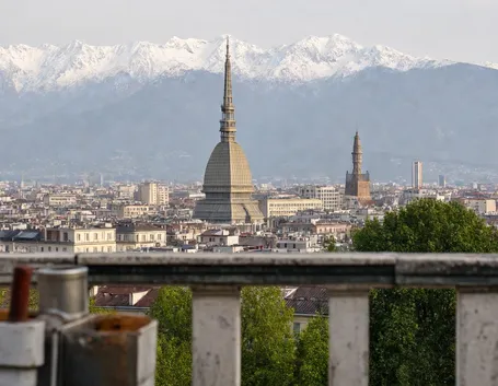 canile torino