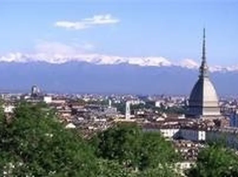 canile torino