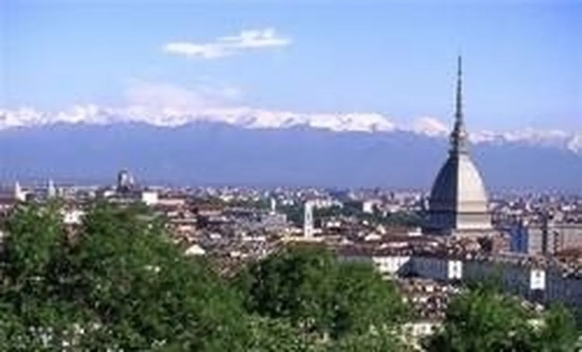 canile torino