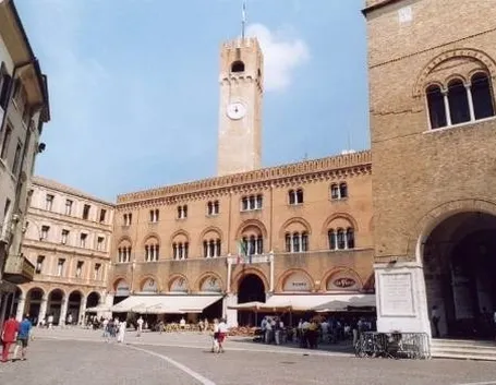canile treviso