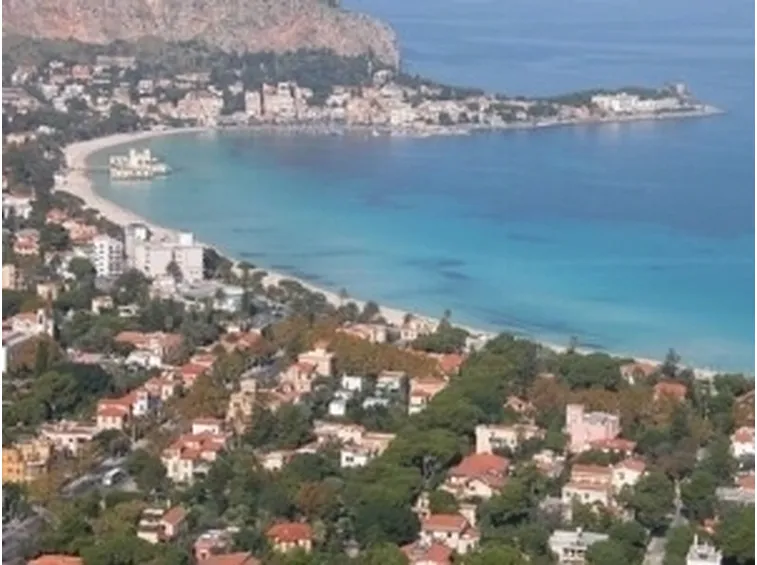 canile palermo