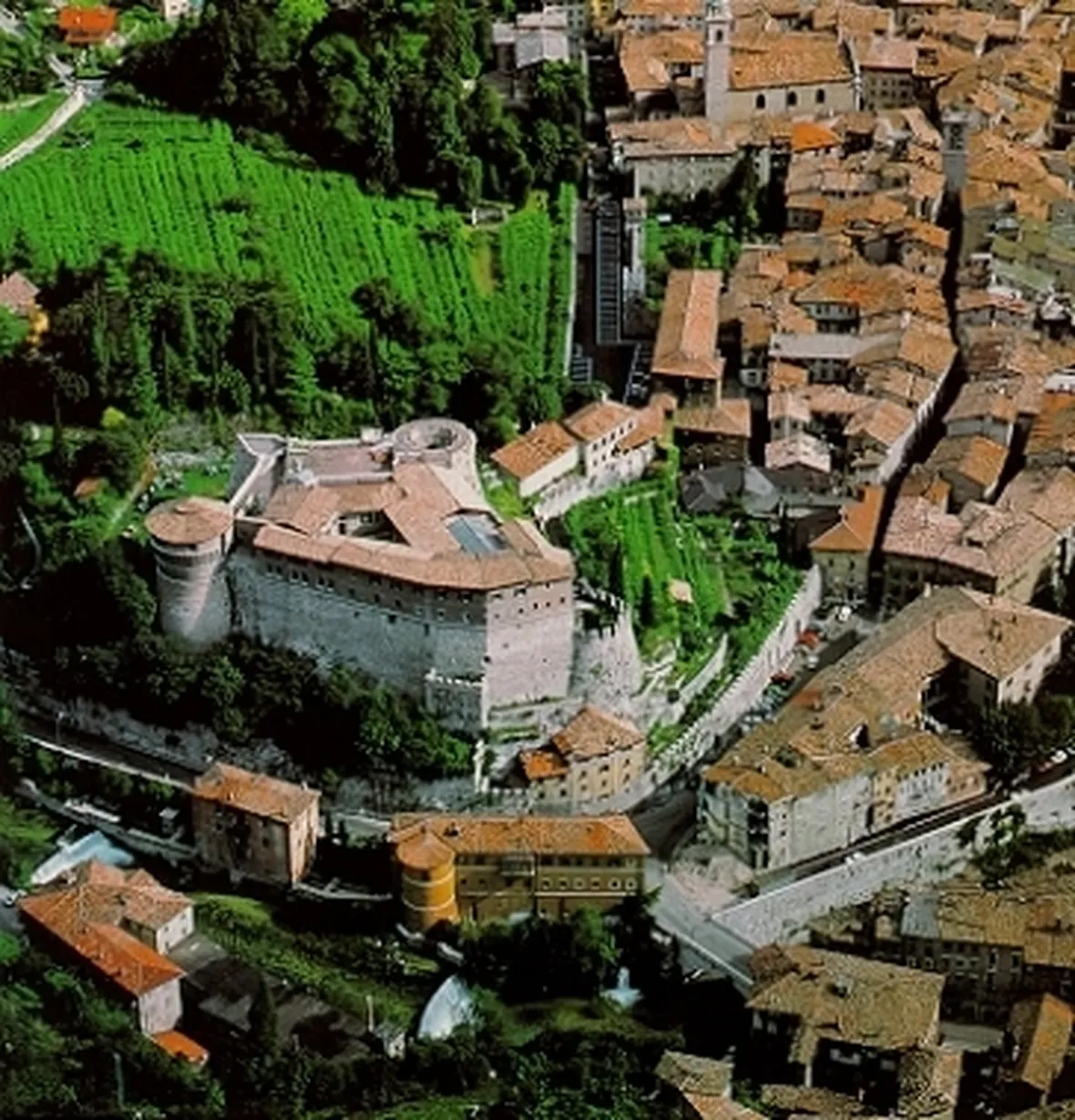 canili rovereto