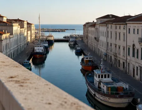 canili strutture trieste