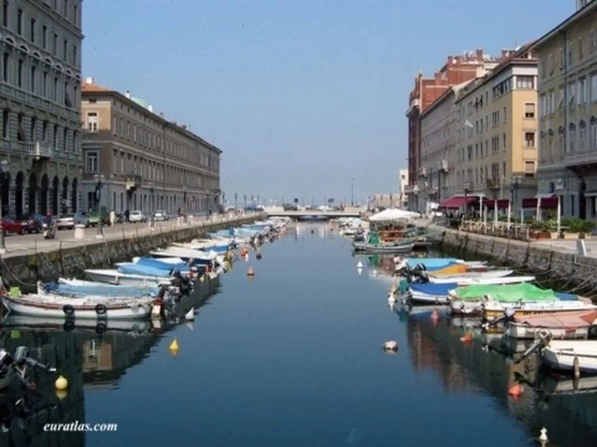 canili strutture trieste