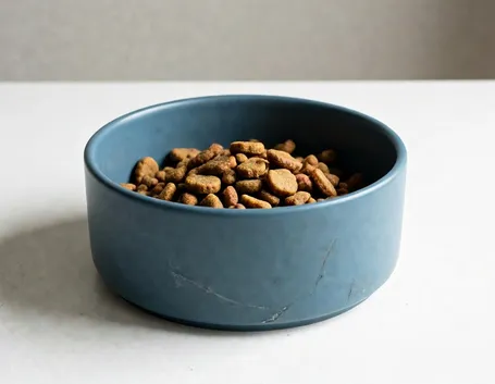 cani alimentazione cibo