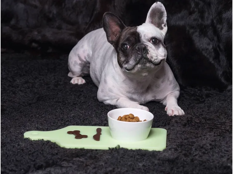 alimenti cani