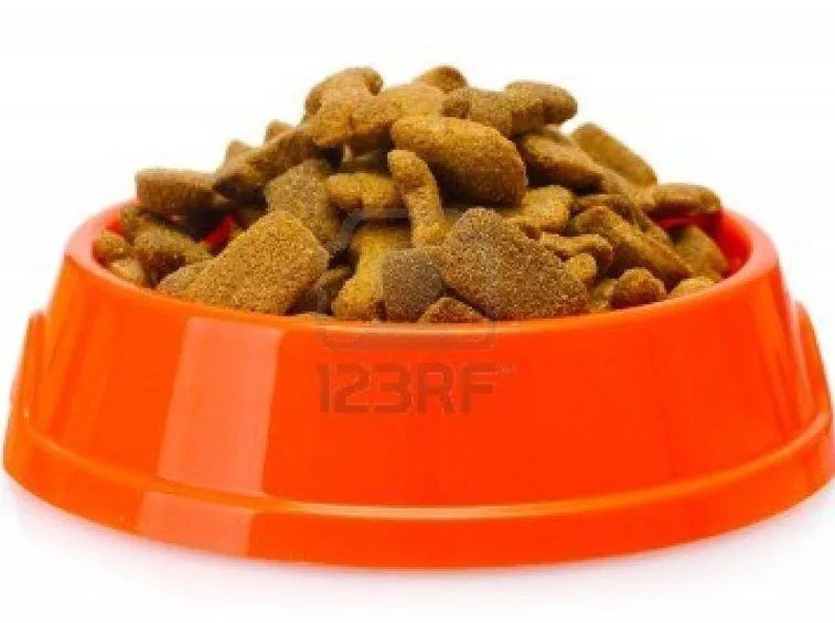 cibo cani