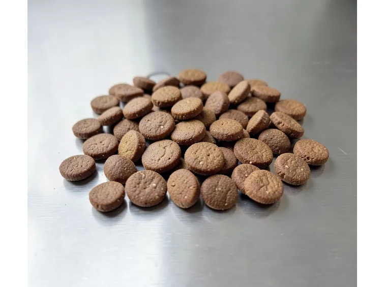 cani cibo alimentazione