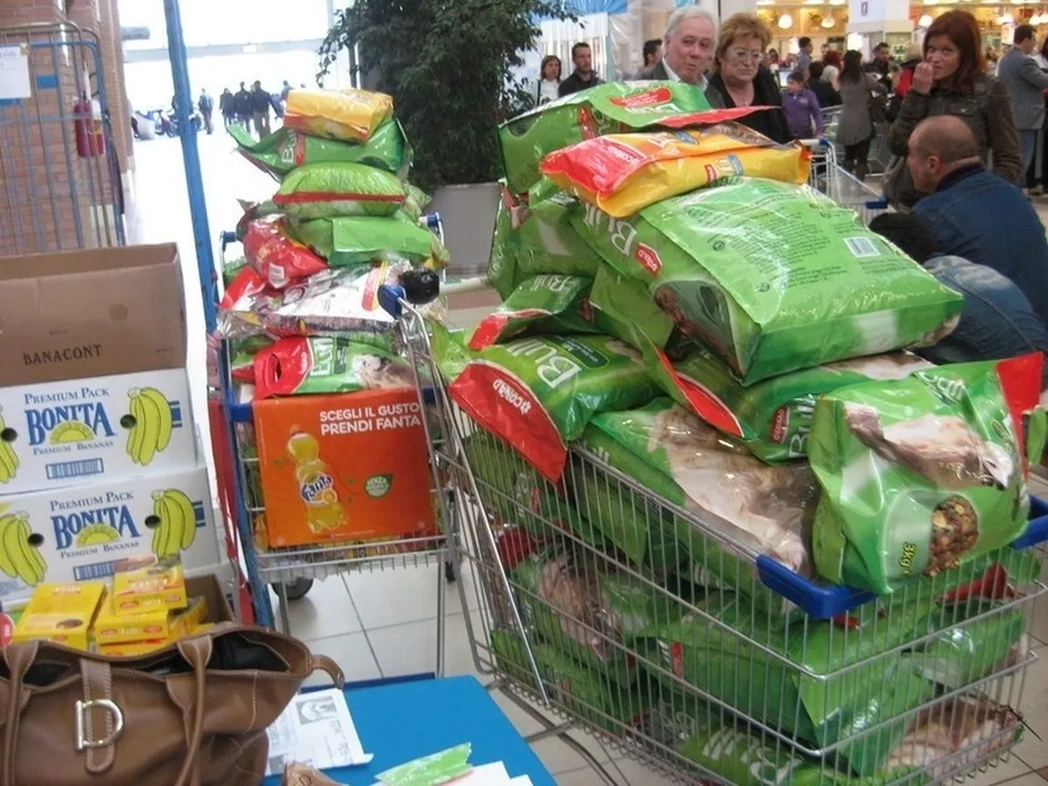 Cibo per cani Fortesan