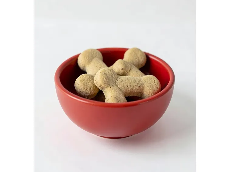 cani mangimi cibo