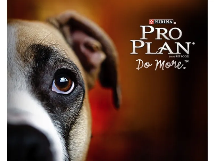 Purina Pro Plan