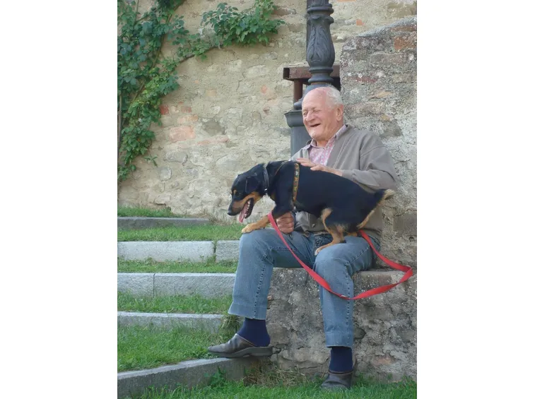 Un cane anziano e un signore adulto possono risultare la coppia perfetta!