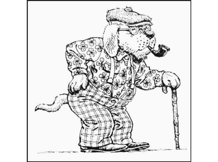 Cane anziano