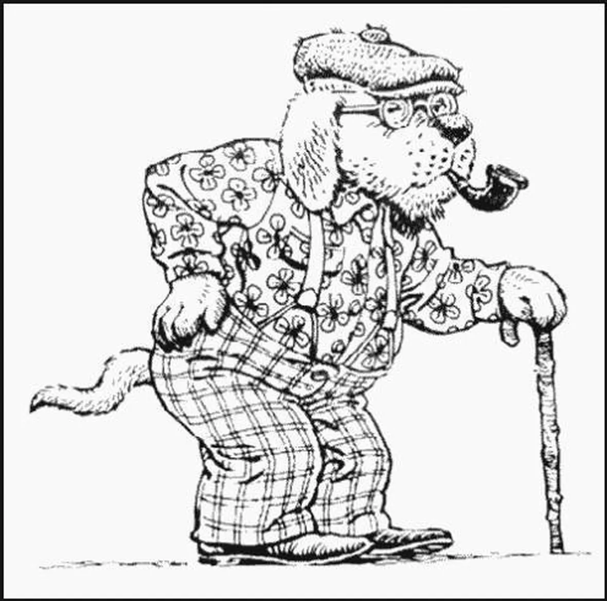 Cane anziano