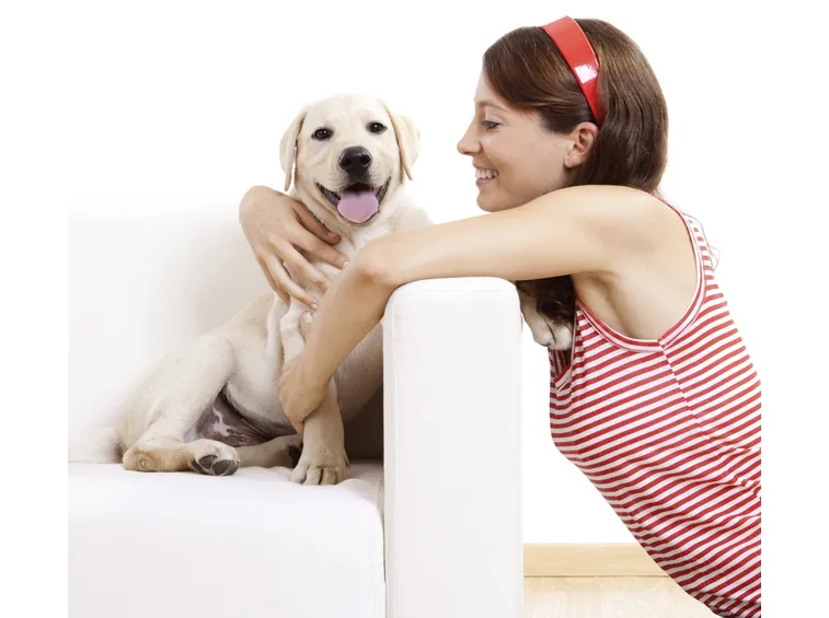 Incontro con cani sequestrati da adottare