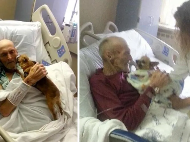 James e il suo cane
