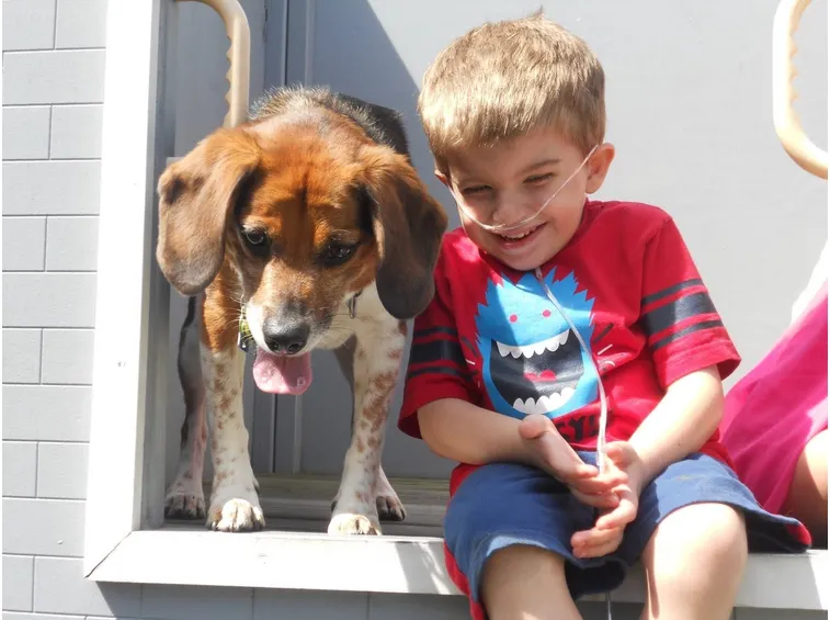 cani e bambini
