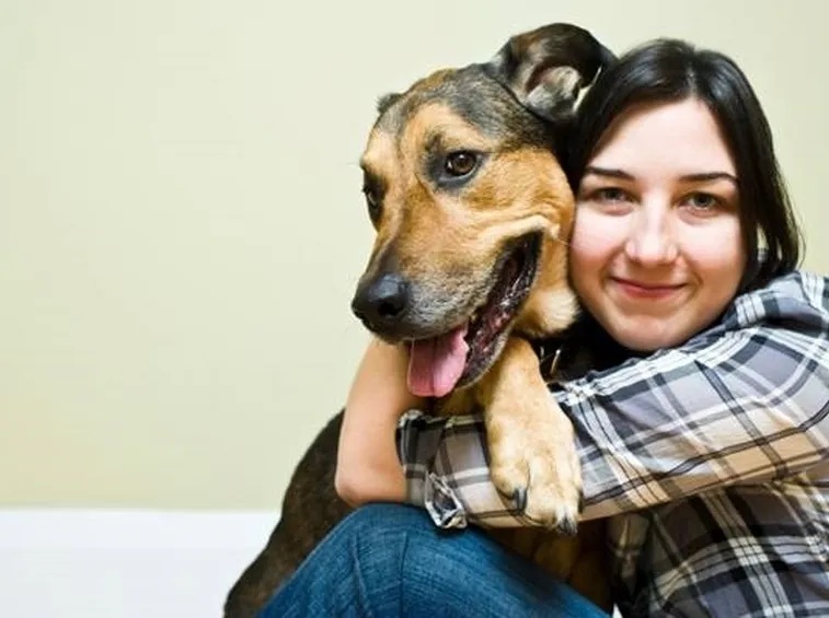 cane riabbraccia la sua padrona