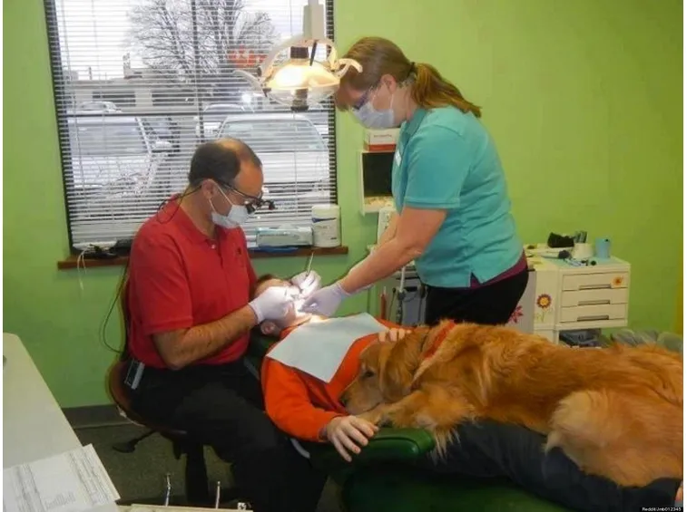 dal dentista con il cane