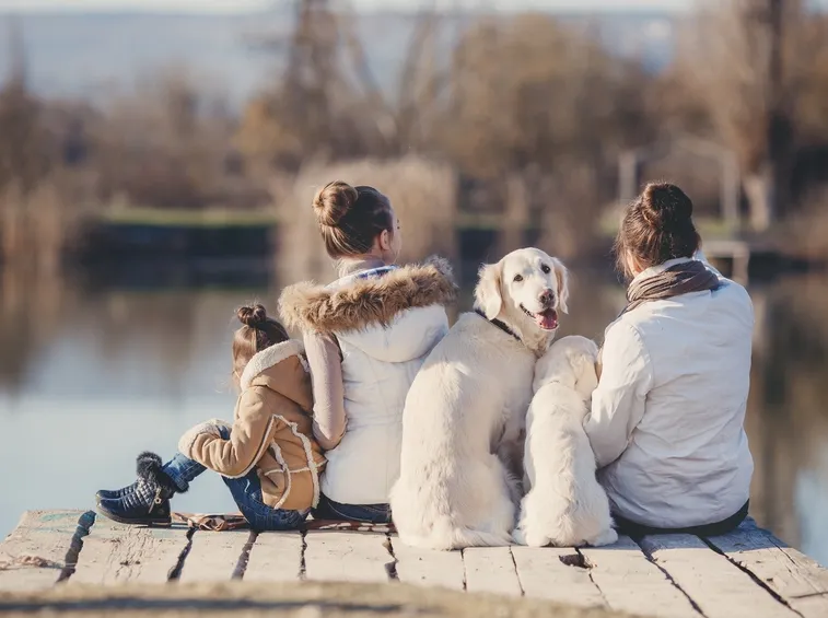 cani e bambini
