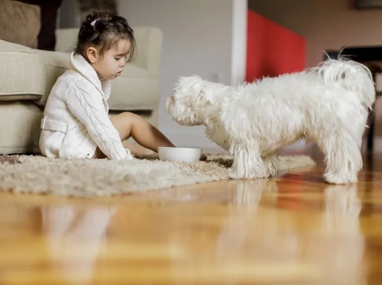 BAMBINO CON CANE