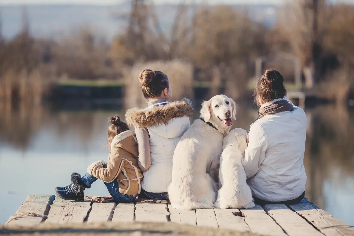 cani e bambini
