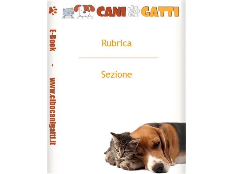 foto degli ebook