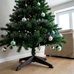 Perché il gatto punta all'albero e quale esemplare scegliere