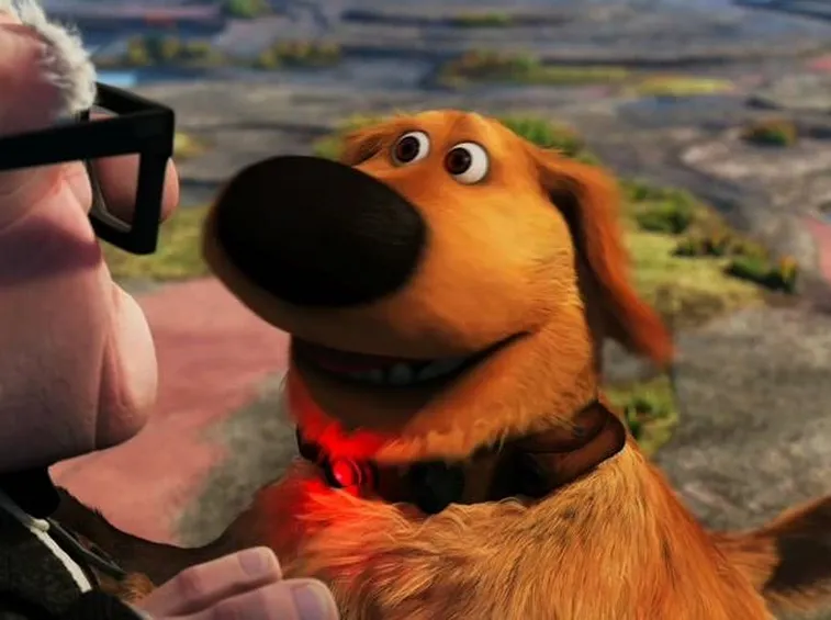 il cane di Up