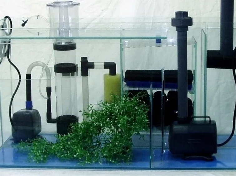 Filtro biologico di un acquario