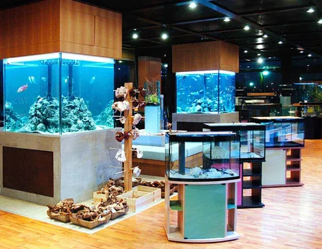 Modelli acquari d'arredamento