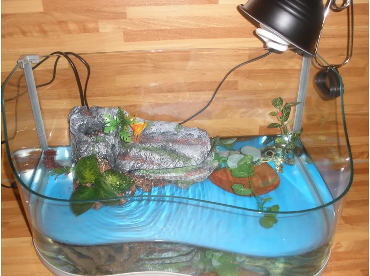 Acquario per tartarughe d’acqua